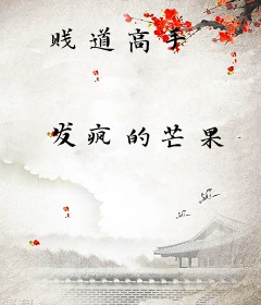 贱道高手