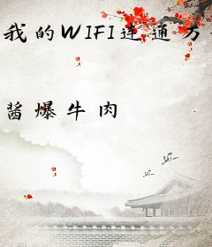 我的WIFI连通万界