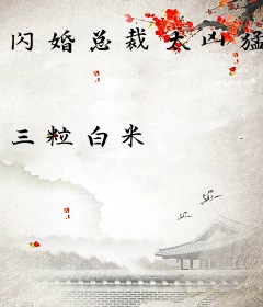 闪婚总裁太凶猛