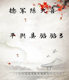 捻军陈大喜