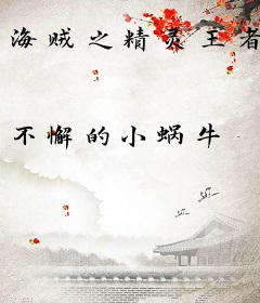 海贼之精灵王者