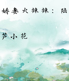 娇妻火辣辣：陆爷，撩上瘾！