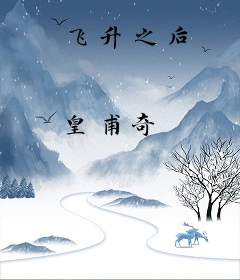 飞升之后