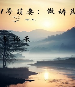 1号萌妻：傲娇总裁，晚上见！