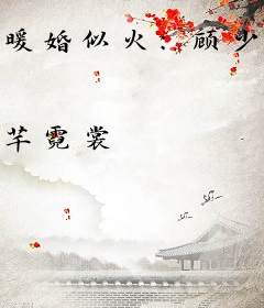 暖婚似火：顾少，轻轻宠