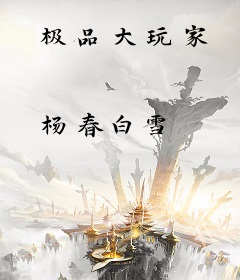 极品大玩家