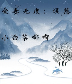 爱妻无度：误惹危情总裁