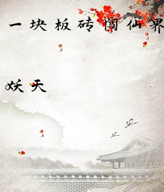 一块板砖闯仙界