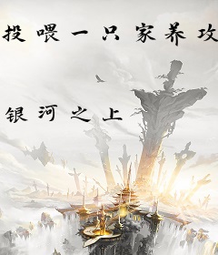 投喂一只家养攻