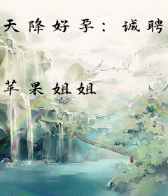 天降好孕：诚聘总裁夫人