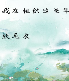 我在组织这些年