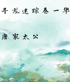 寻龙迷踪卷一华山惊变