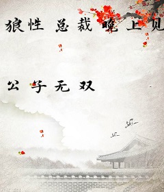 狼性总裁晚上见