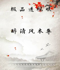 极品透视眼
