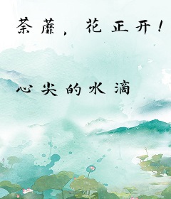 荼蘼，花正开！