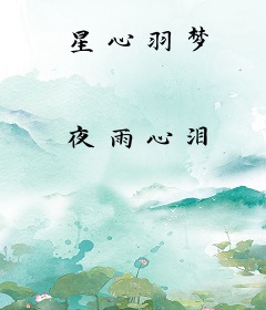 星心羽梦