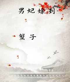 男妃嫁到