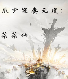 辰少宠妻无度：老公要抱抱