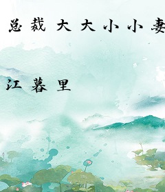 总裁大大小小妻