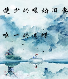 楚少的暖婚旧妻