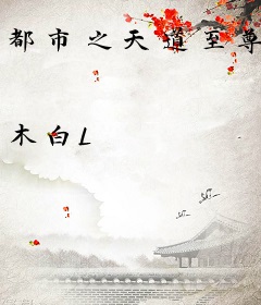 都市之天道至尊