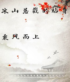 冰山总裁的贴身神医