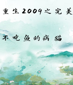 重生2009之完美人生