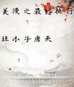 美漫之最终执行官