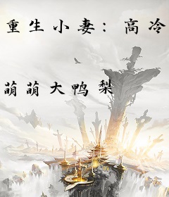 重生小妻：高冷总裁买一送一