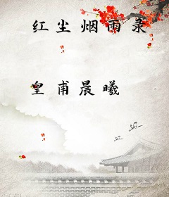 红尘烟雨录