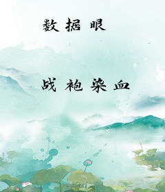 数据眼