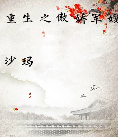 重生之傲娇军嫂