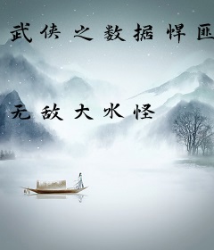 武侠之数据悍匪