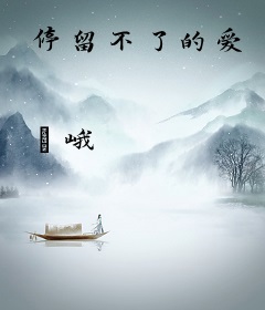 停留不了的爱