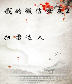 我的微信女友2