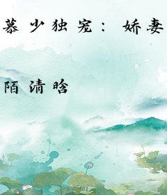 慕少独宠：娇妻，很神秘！