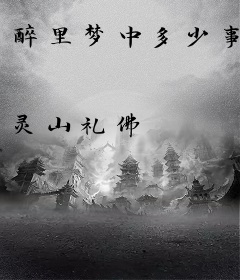 醉里梦中多少事