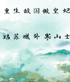 重生敌国做皇妃