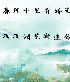 春风十里有娇兰