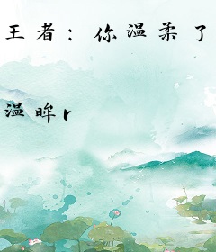 王者：你温柔了时光