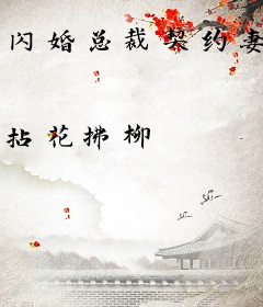 闪婚总裁契约妻