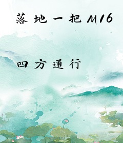 落地一把M16