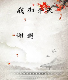 我御齐天