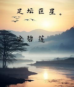 足坛巨星。