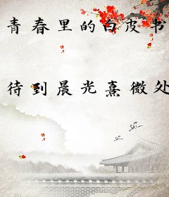 青春里的白皮书