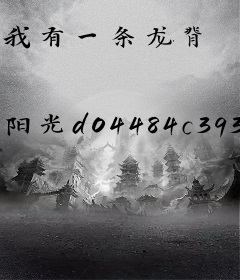 我有一条龙脊