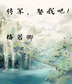 将军，娶我吧！