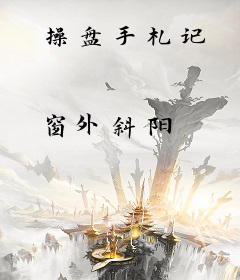 操盘手札记