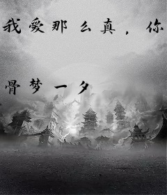 我爱那么真，你却笑我疯