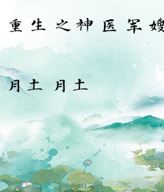 重生之神医军嫂